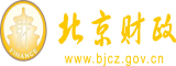 俄罗斯大鸡巴毛片北京市财政局