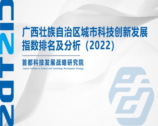 大几几操我小逼逼【成果发布】广西壮族自治区城市科技创新发展指数排名及分析（2022）